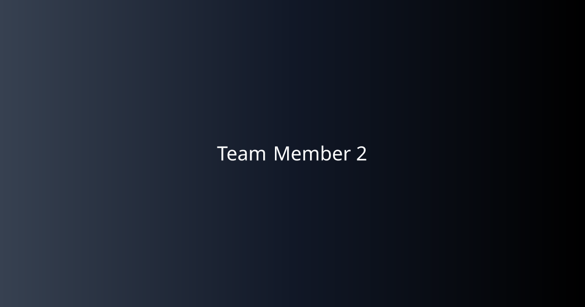 Team Member 2